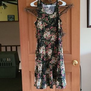 Lularoe Nicki Dress